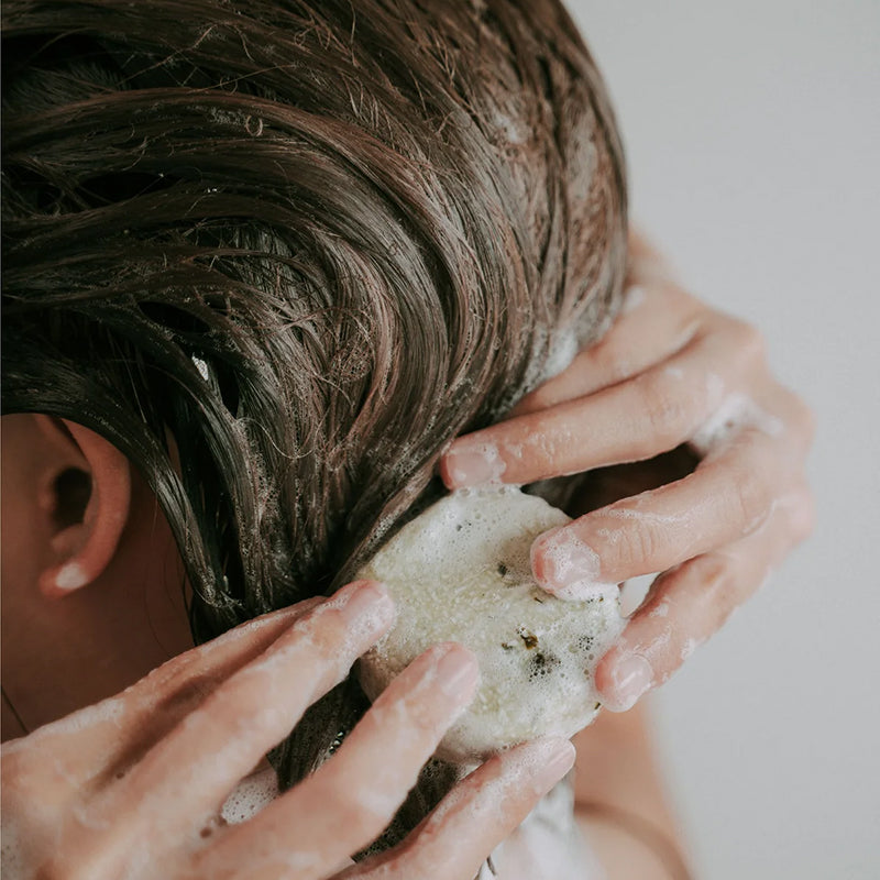 Alwis & Xavier - Solid Shampoo, Seaweed Cleansing, 65g - The Panic Room