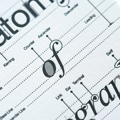 Hrvst.Store - Anatomy Of Typography Postcard, A6, Letterpress
