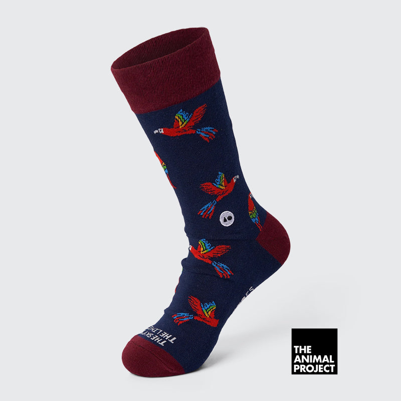 Talking Toes x TAP - Soaring Macaw Sock - The Panic Room