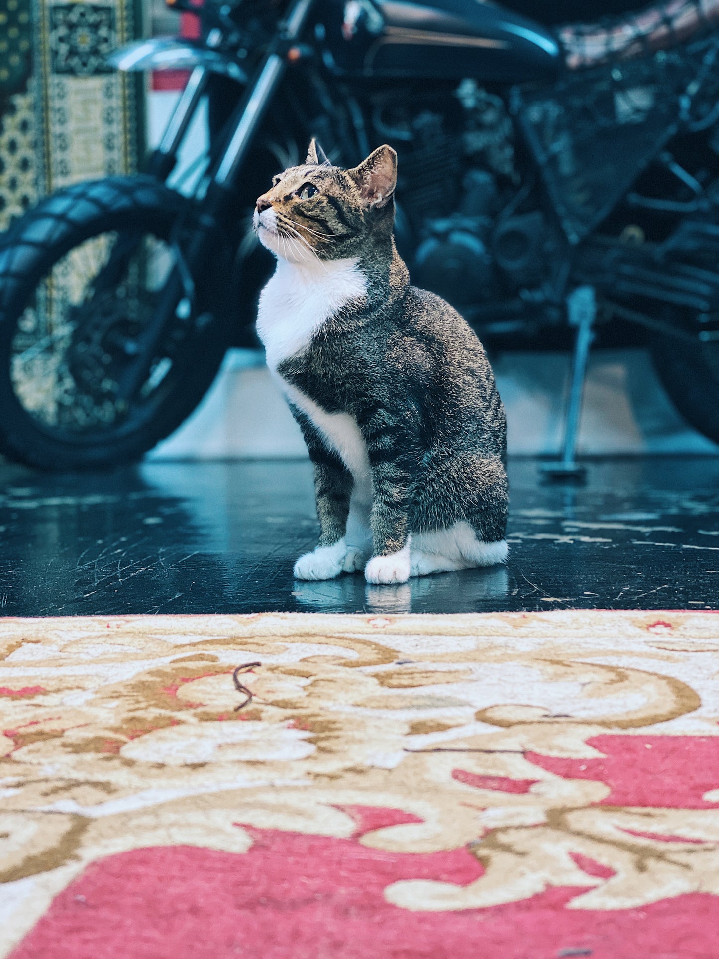 The Panic Room - Tribute To Tammy T-Shirt - The Panic Room