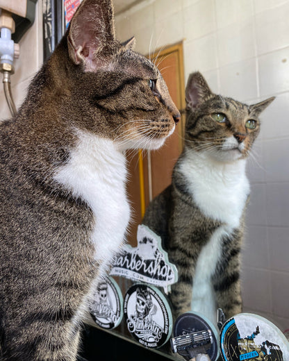 The Panic Room - Tribute To Tammy T-Shirt - The Panic Room