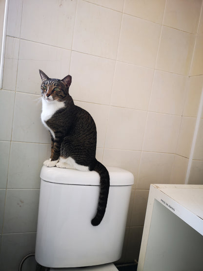 The Panic Room - Tribute To Tammy T-Shirt - The Panic Room