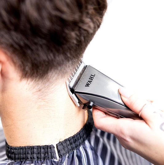 Wahl - Artiva - The Panic Room