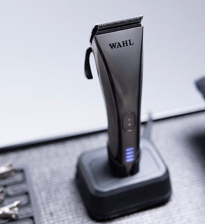Wahl - Artiva - The Panic Room