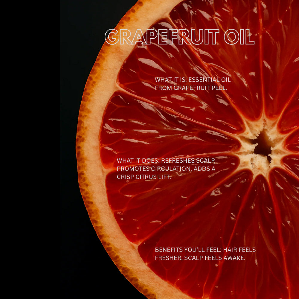 Modern Pirate - Beard and Hair Serum - The Panic Room