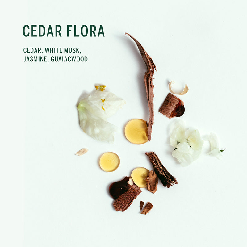 CORPUS - Natural Deodorant Stick, Cedar Flora, 75g - The Panic Room