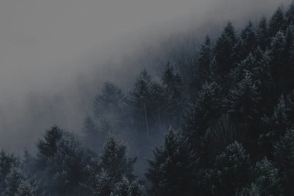Beardbrand - Men's Cologne, Norse Winter