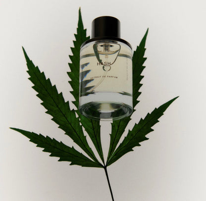 Solid State - Extrait de Parfum, Hash