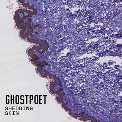 Ghostpoet - Shedding Skin [LP] - The Panic Room