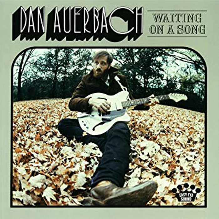 Dan Auerbach - Waiting On A Song (Vinyl LP) - The Panic Room