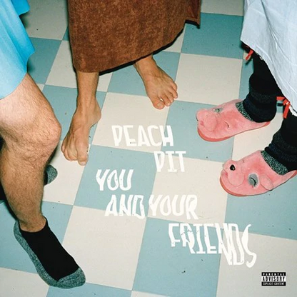 Peach Pit - You and Your Friends [Vinyl LP] - The Panic Room