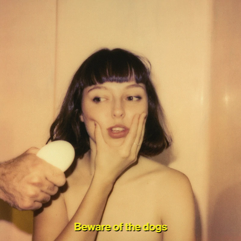 Stella Donnelly - Beware of the Dogs [Vinyl LP] - The Panic Room