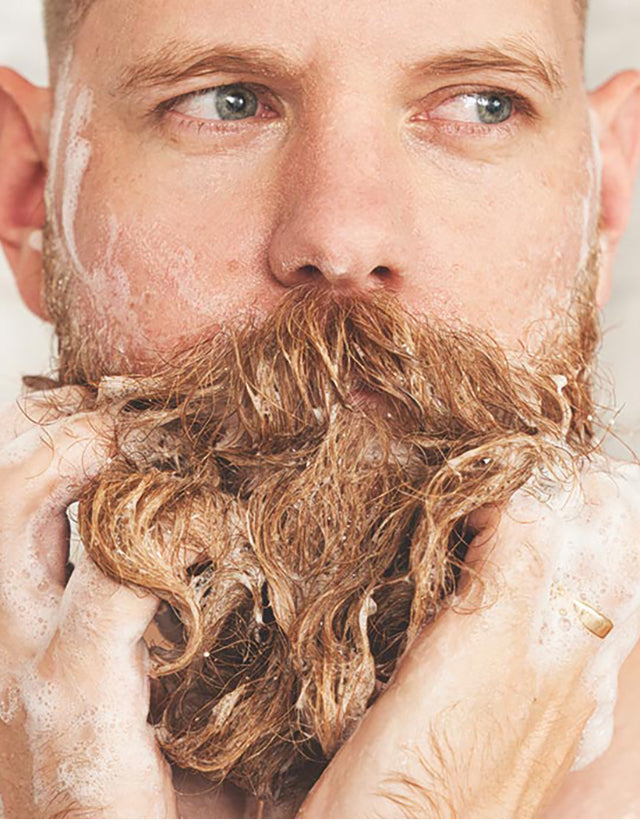Beardbrand - Old Money Beard Wash, 100ml - The Panic Room