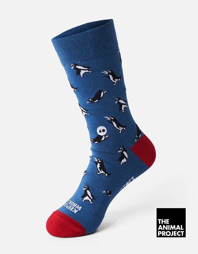 Talking Toes - The Animal Project Penguin Sock - The Panic Room
