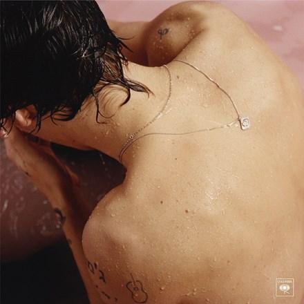 Harry Styles - Harry Styles [180g Vinyl LP] - The Panic Room