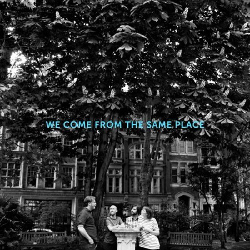 Allo Darlin' - We Come From The Same Place [LP] - The Panic Room